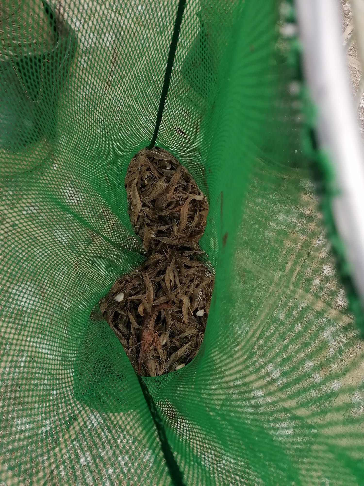 WhatsApp Image 2025-09-09 à 17.55.59_f5f1407f