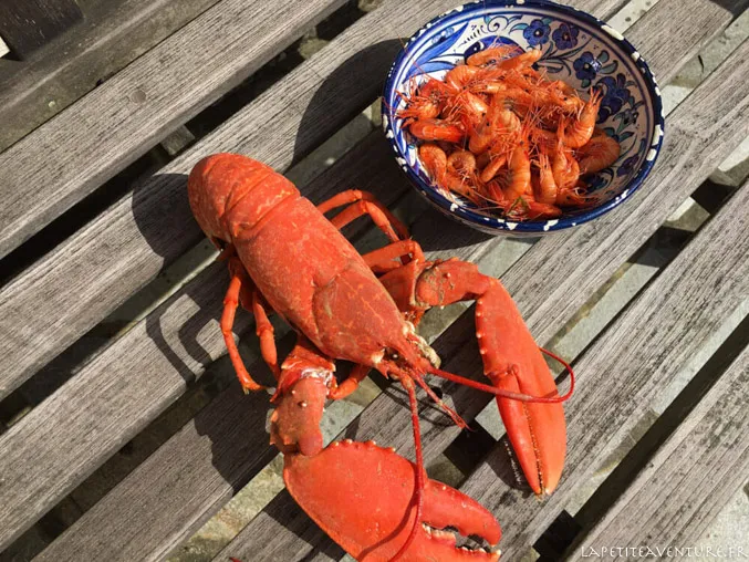 peche-crevette-emeraude-bretagne-blog-la-petite-aventure-14